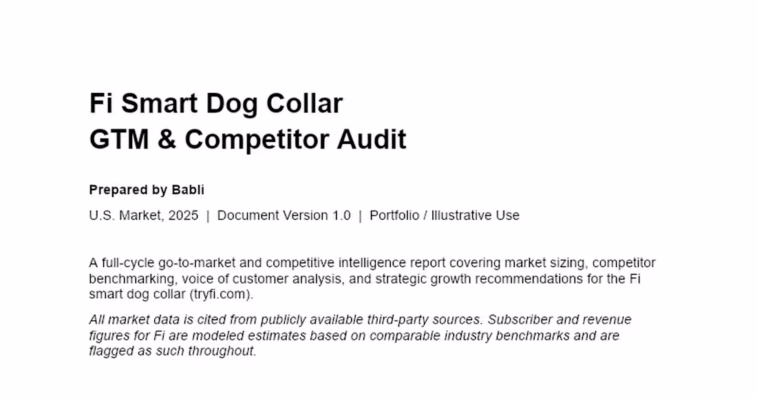 Cover image for Go-to-Market and Competitive Intelligence Report for Fi