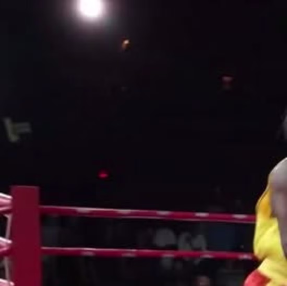 Cover image for Fight Night University