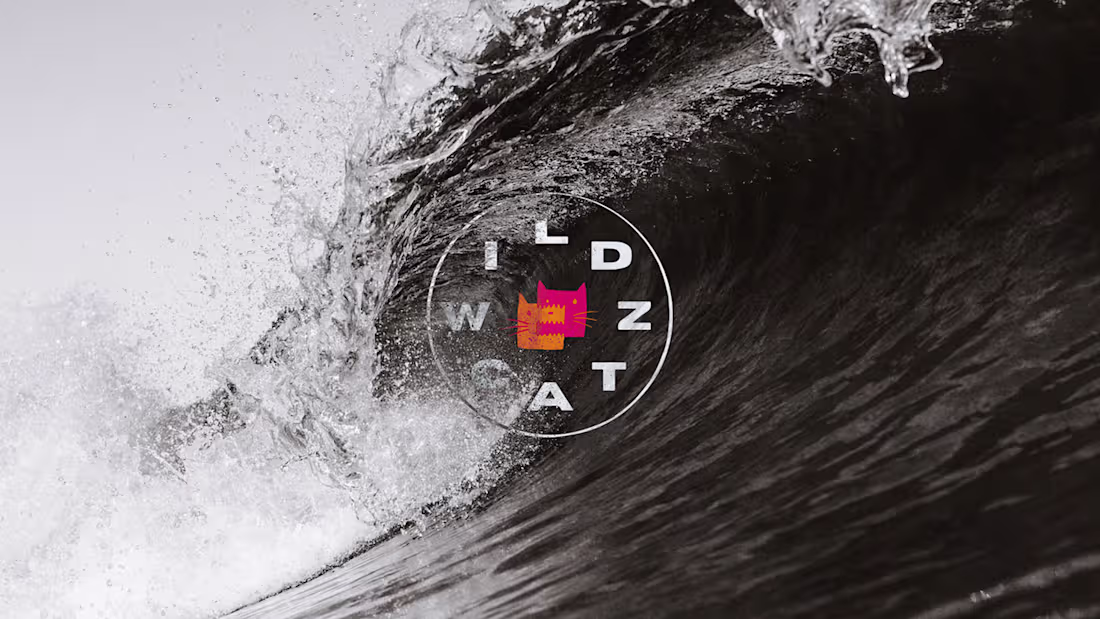 Cover image for Wildcatz | Surf, Skate & Yoga Coaching 
