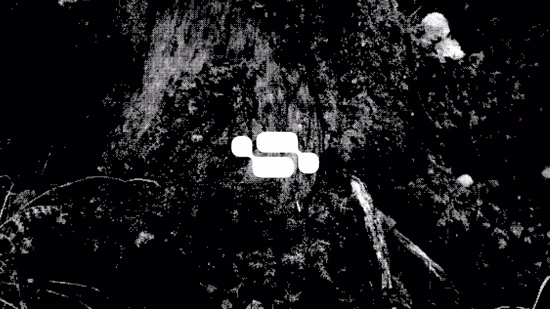 Cover image for Abstract Logo Visual Identity —