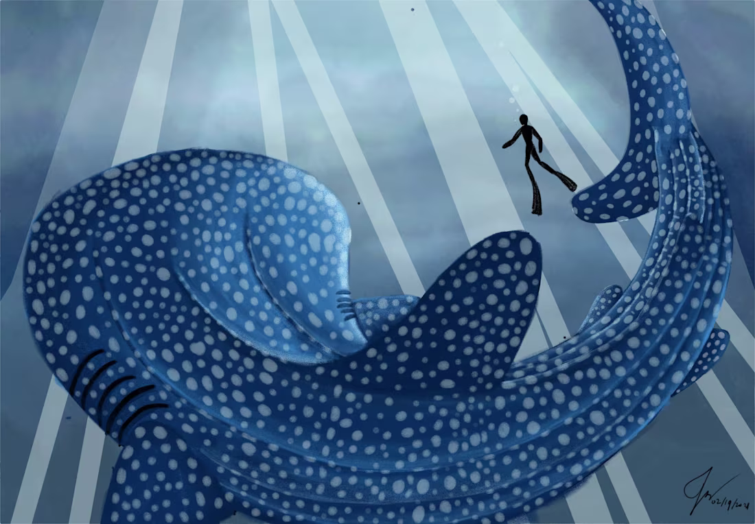 Cover image for The Whale Shark