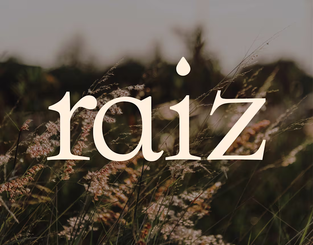 Cover image for Fictional Project for a Portuguese