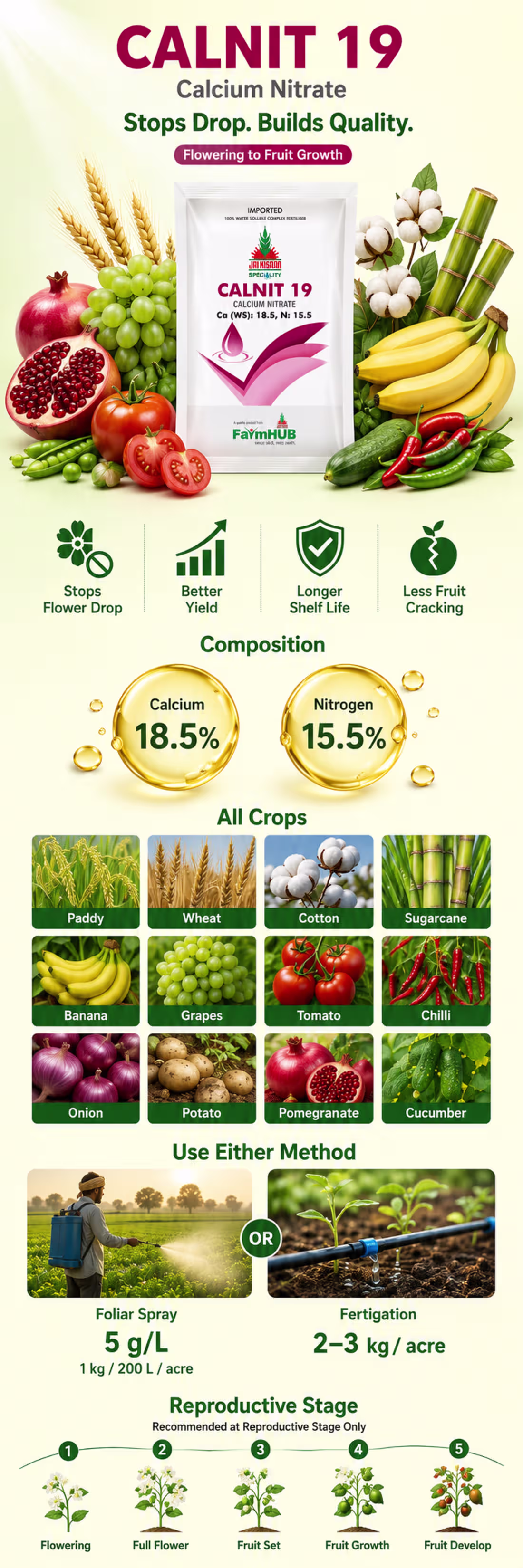 Cover image for Created an infographic for the
