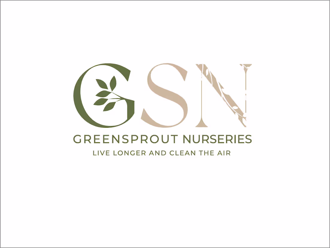 Cover image for GNS Logo design