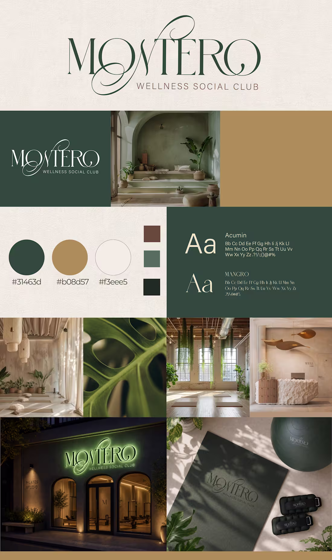 Cover image for A complete brand identity created