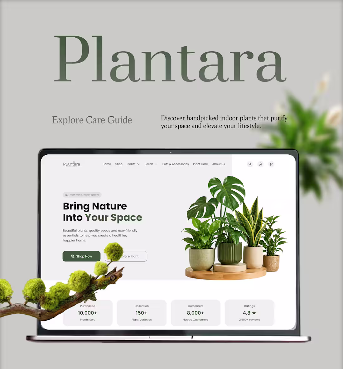 Cover image for Plantra is a modern e-commerce