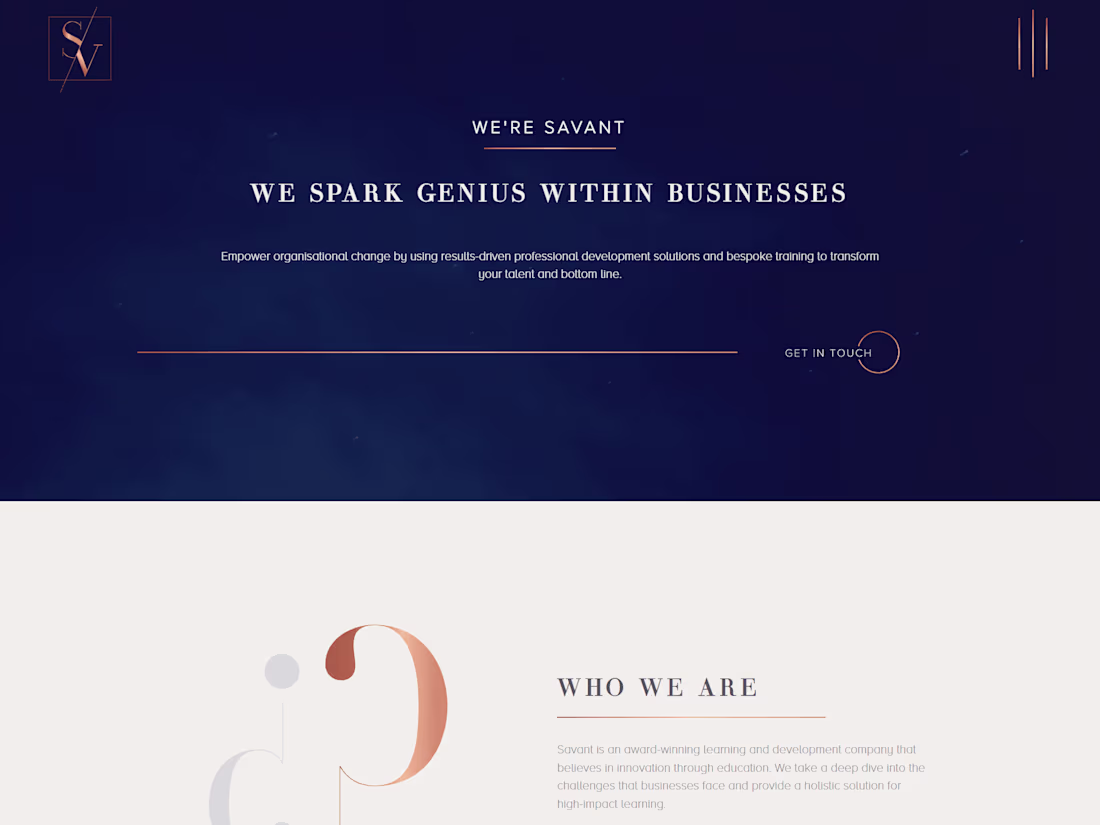 Cover image for Savant Consulting