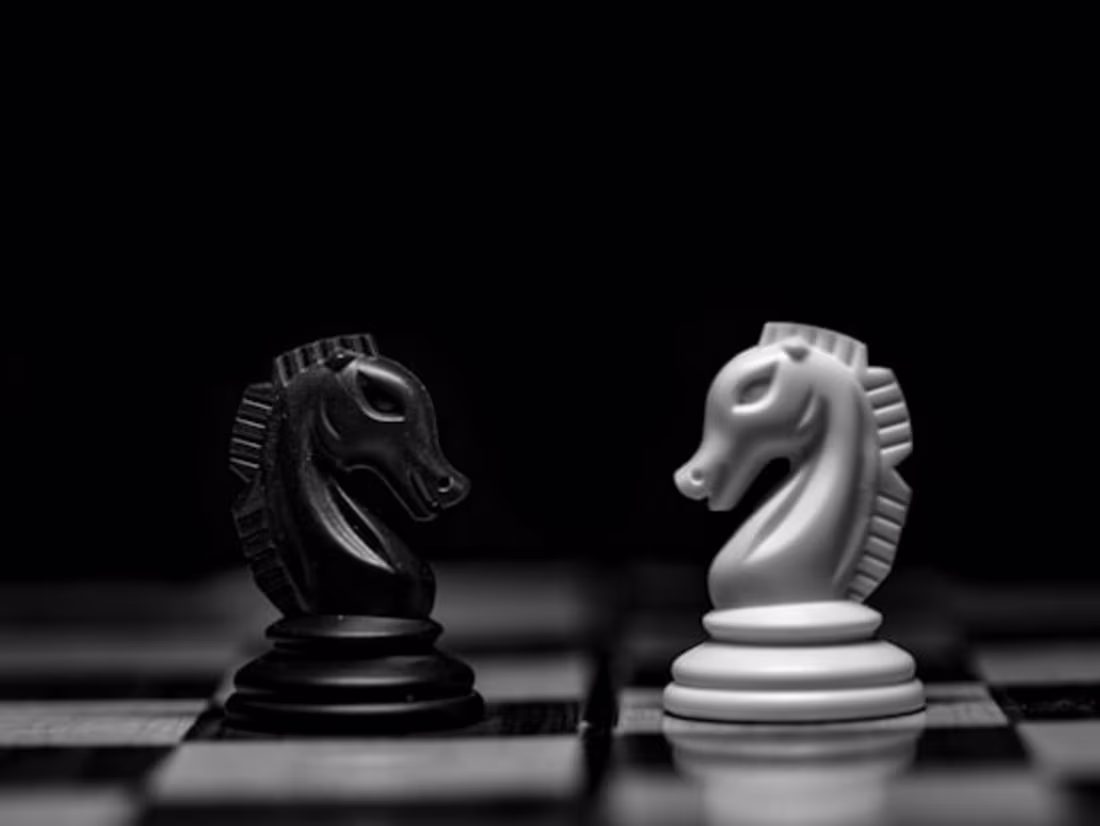 Cover image for Checkmate 3D