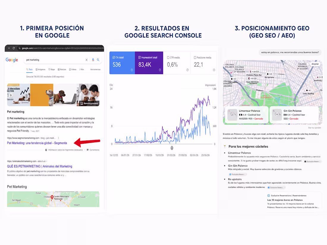Cover image for SEO Portfolio: Organic Growth &