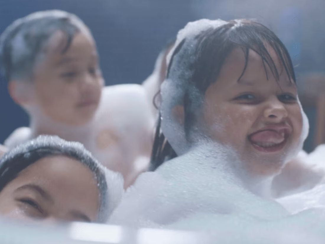 Cover image for Dial. The Every Family Soap.