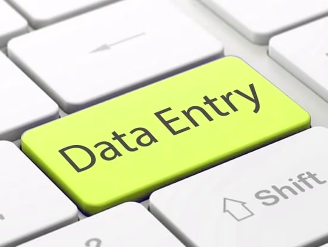 Cover image for Data entry 