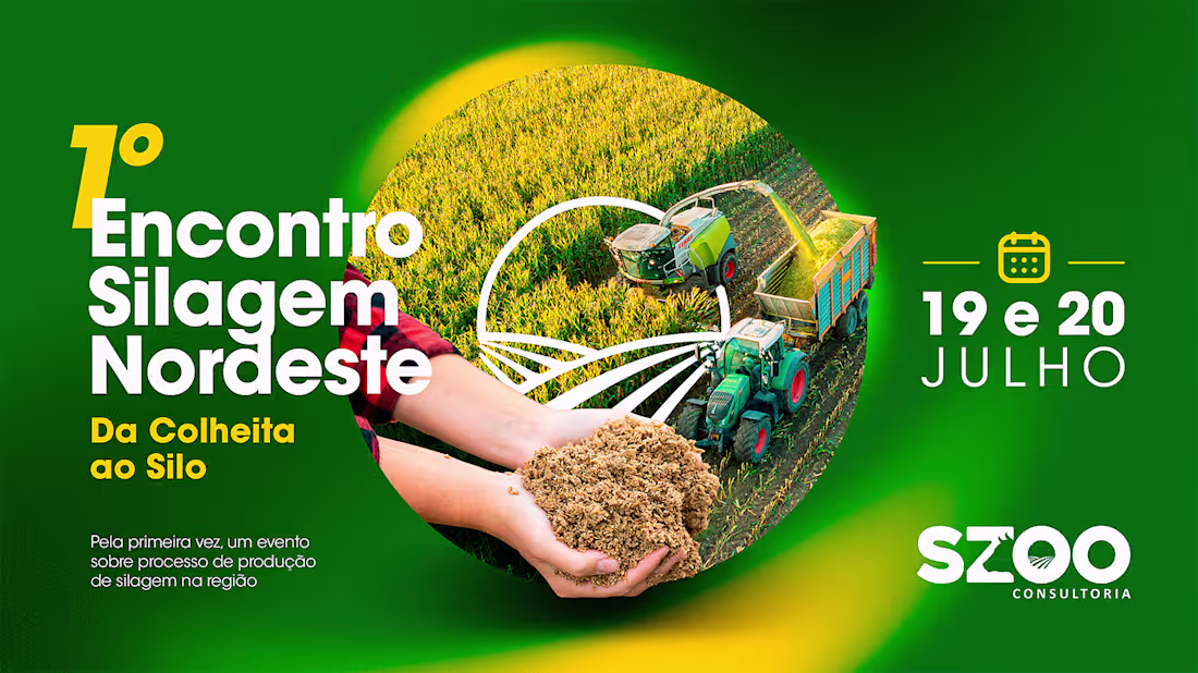 Cover image for Campanha - SZOO Consultoria