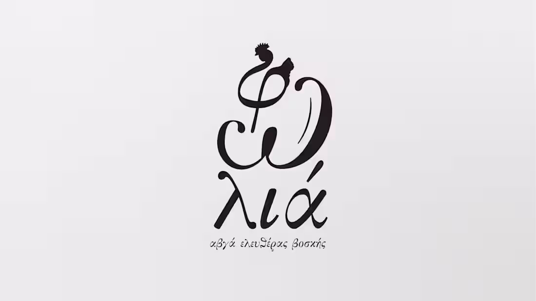 Cover image for Nomenclature & Logo Design