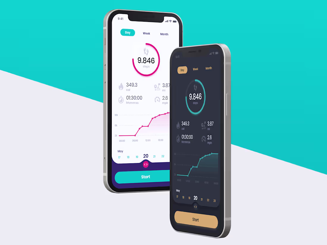 Cover image for Pedometer