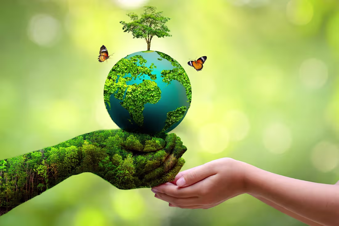 Cover image for Together for the Planet: Making a Difference on World Environme…