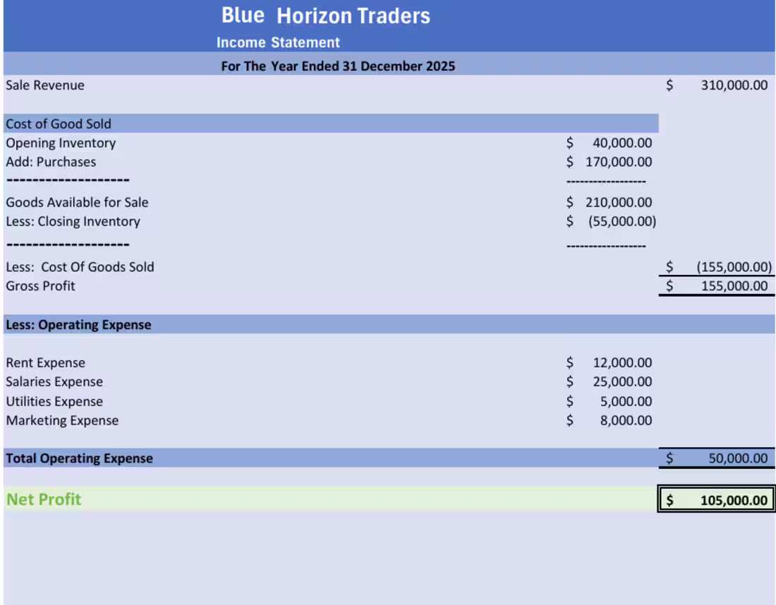 Cover image for I prepared professional financial statements