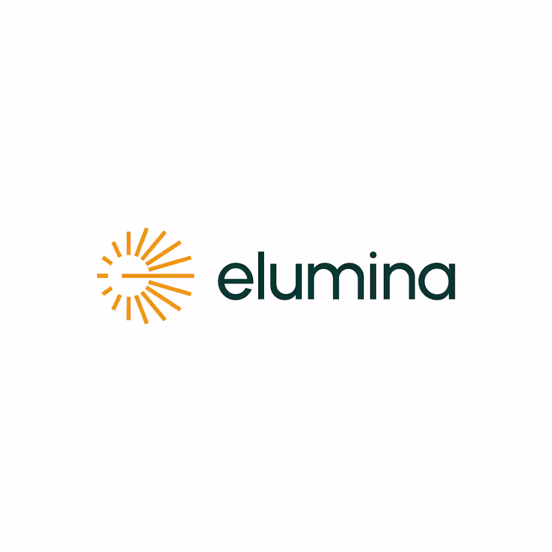 Cover image for elumina logo design