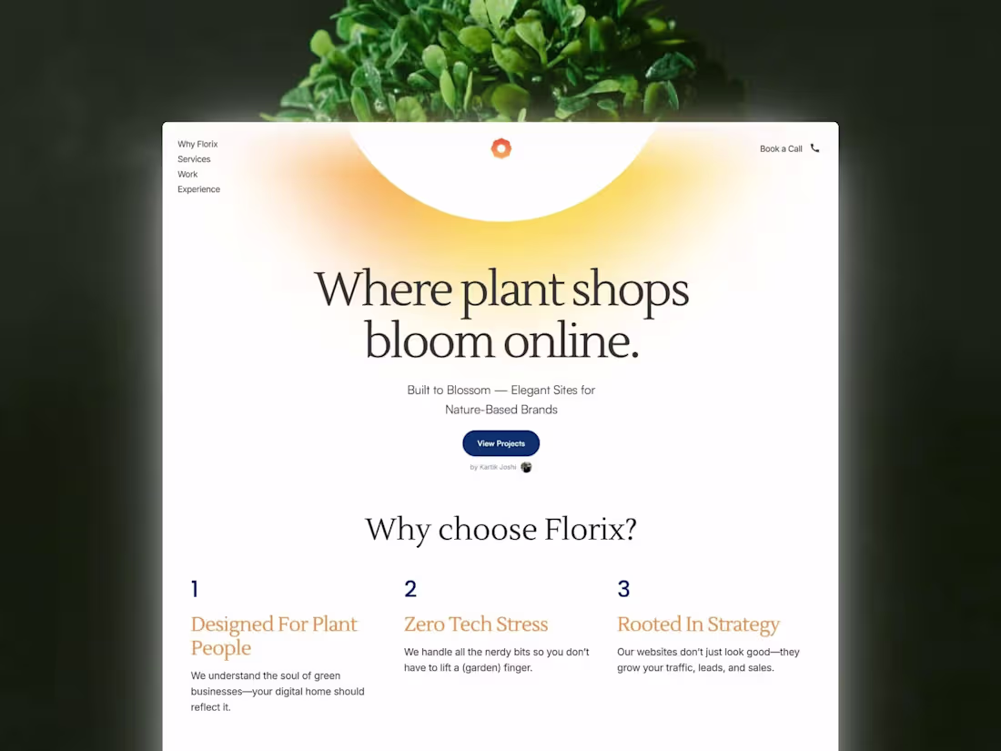 Cover image for Conversion Based Landing Page