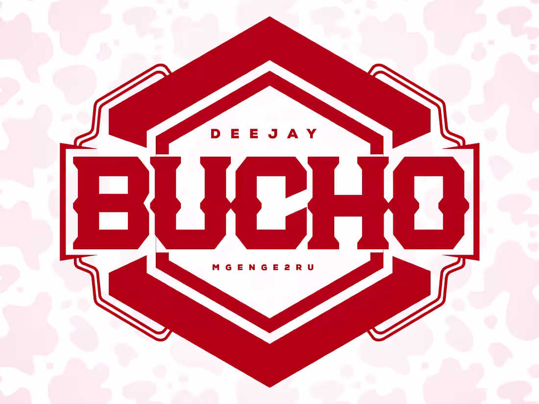 Cover image for 2D LOGO DESIGNS
