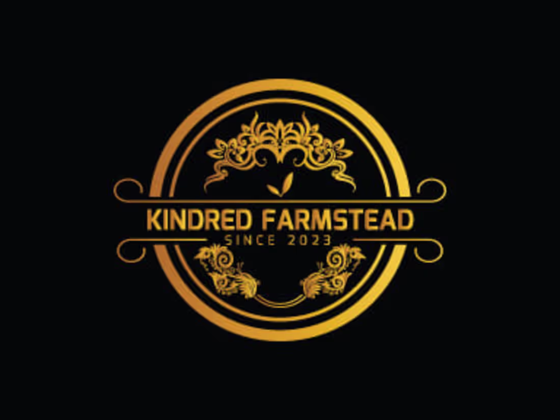 Cover image for Logo Design for Any Company