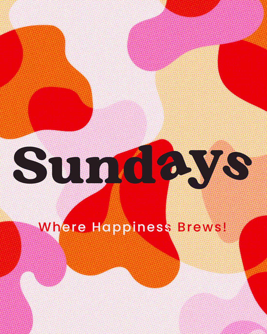 Cover image for Sundays