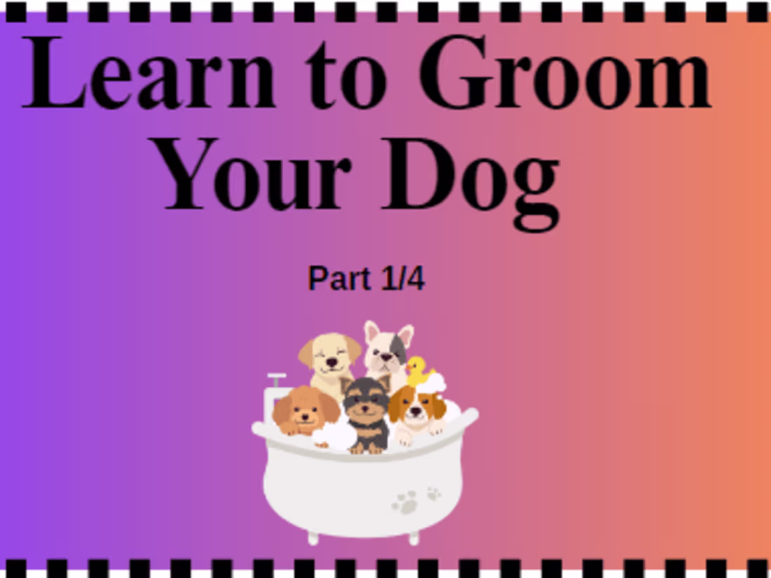 Cover image for Learn to Groom Your Dog (Part 1/4): Short Coats