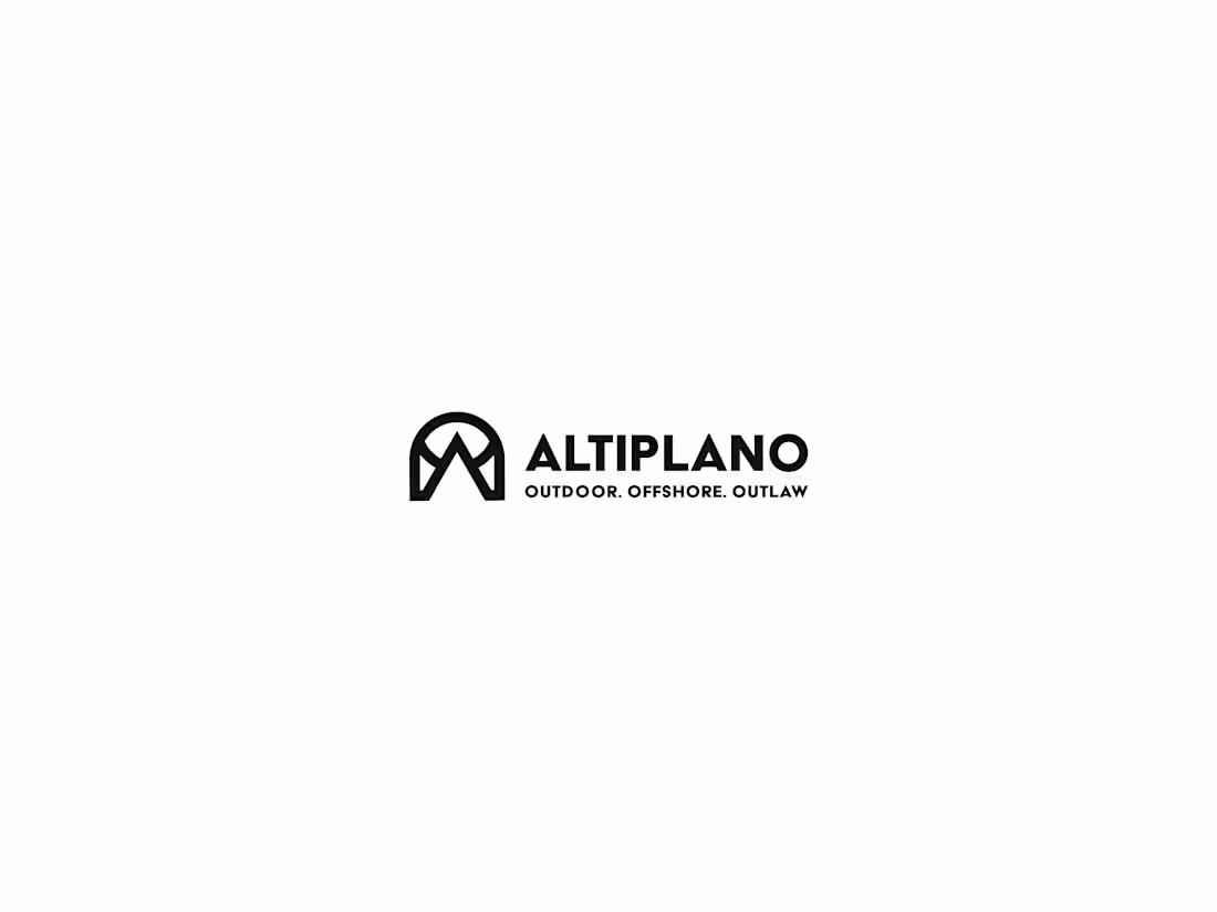 Cover image for ALTIPLANO