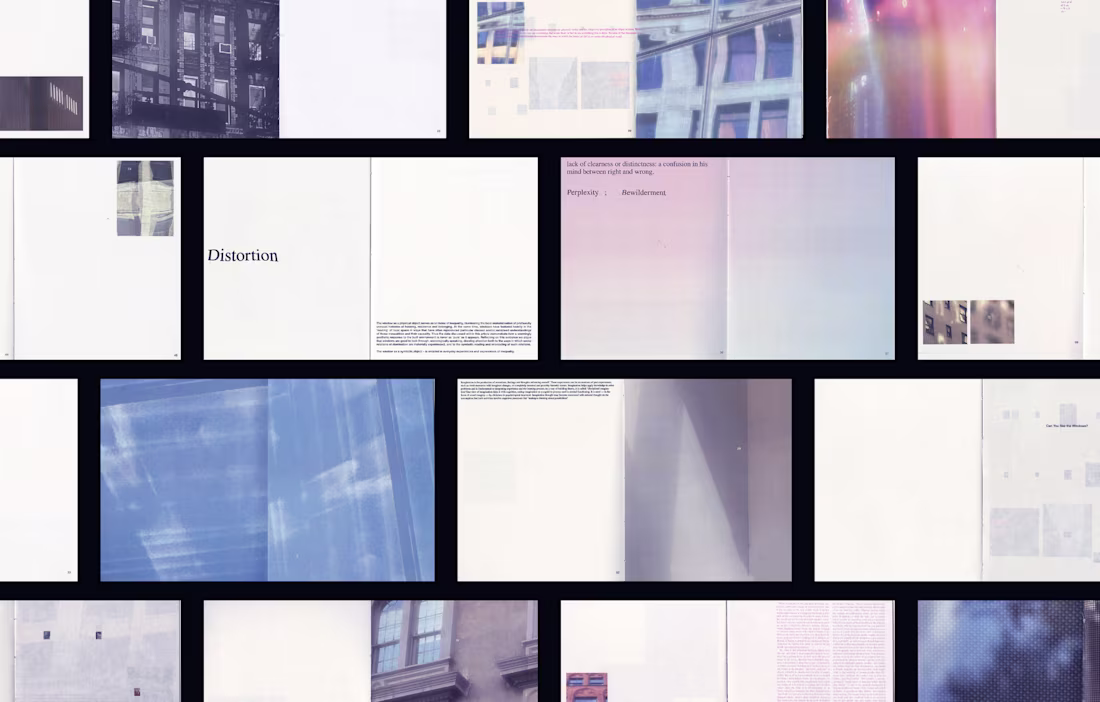 Cover image for Distortion