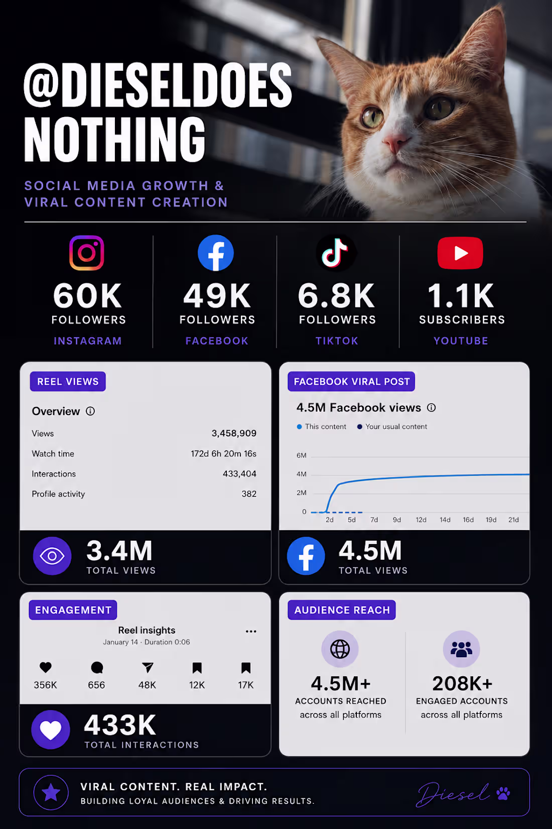 Cover image for Audience growth across Instagram, Facebook,