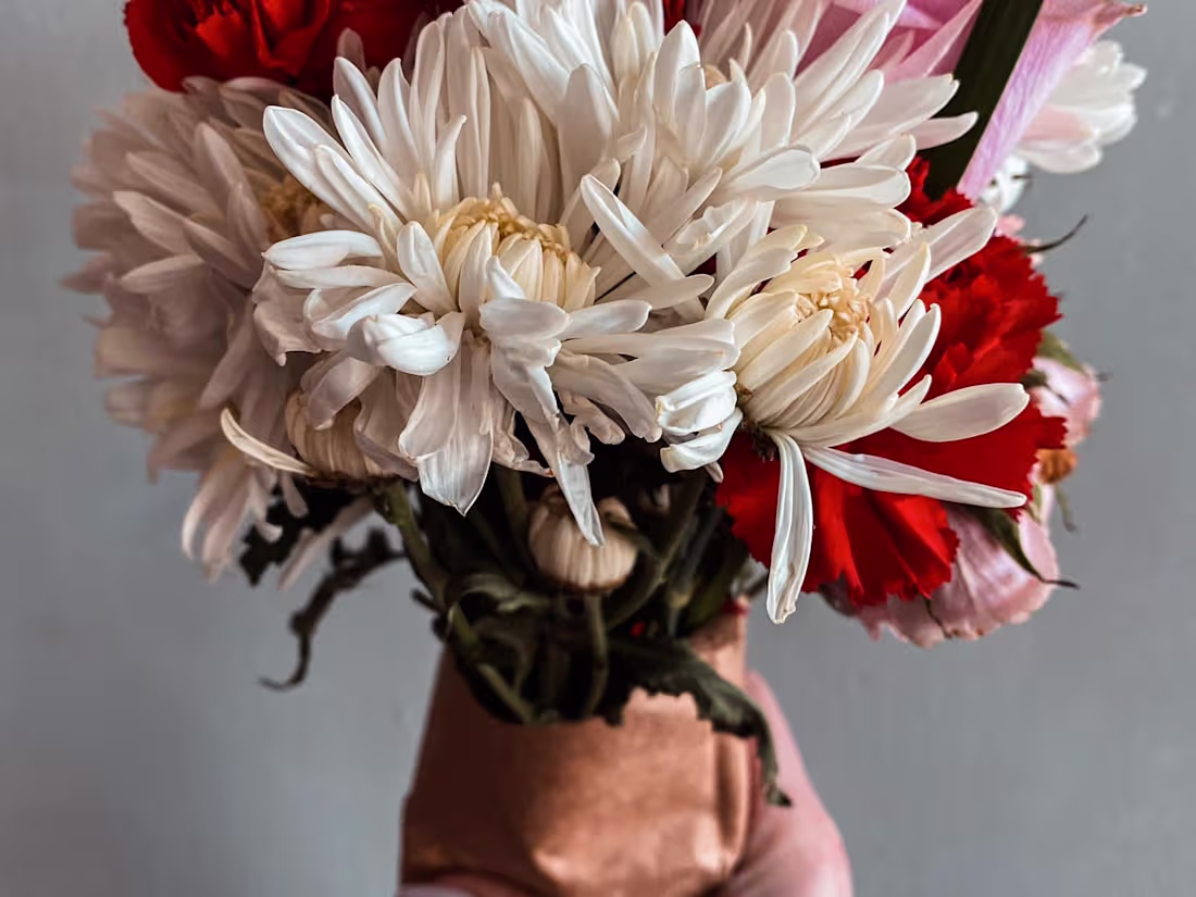 Cover image for Product Photography