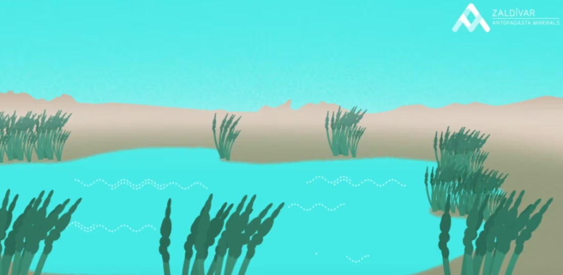 Cover image for Animated Introduction video for Mining