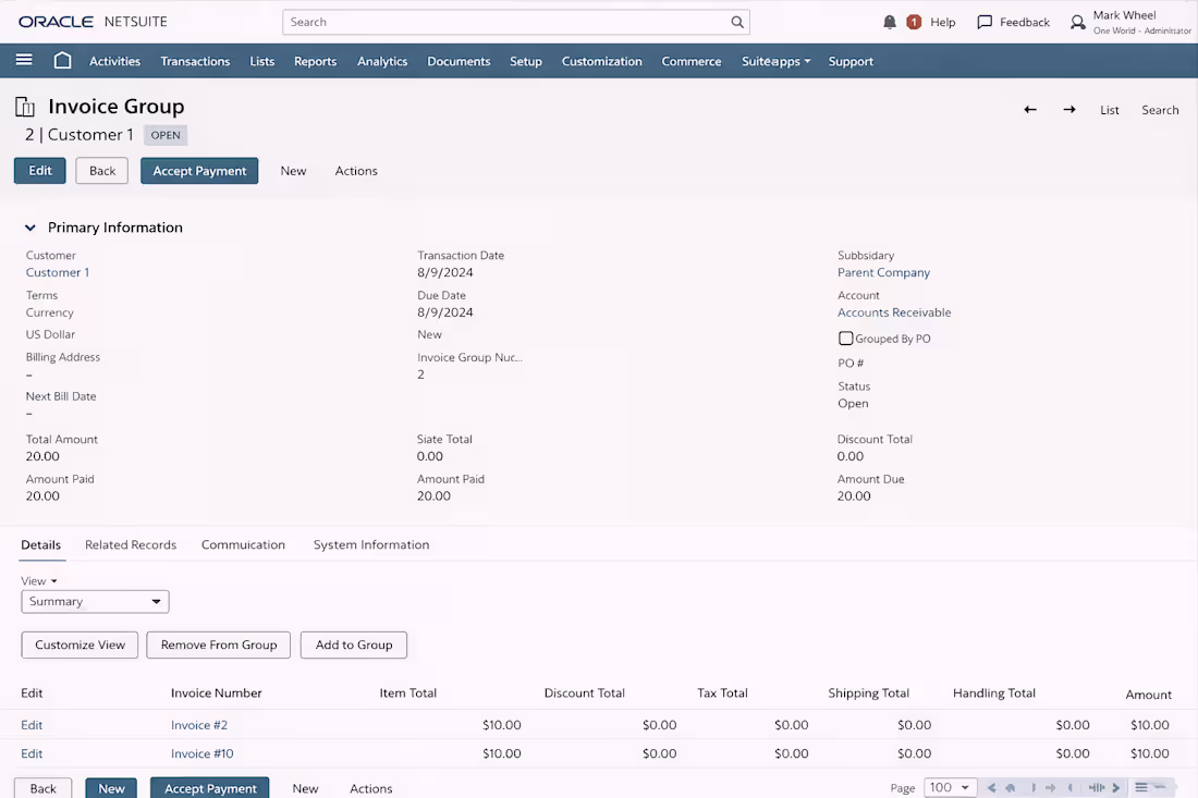 Cover image for Netsuite Automation and customization