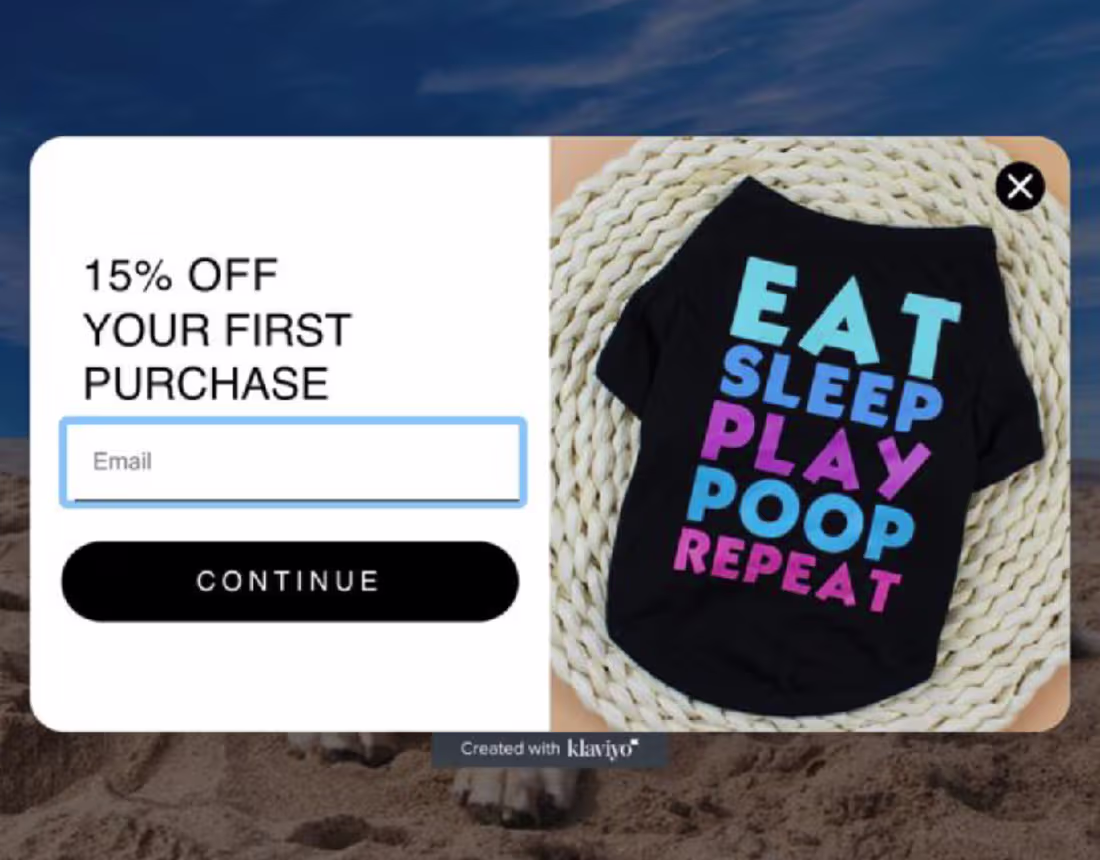 Cover image for Email Pop Up Form