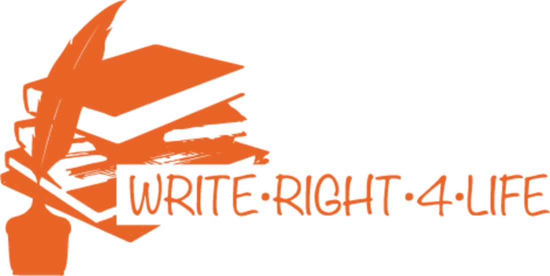 Cover image for Bounty Hunter Logos – Wildeyes Productions