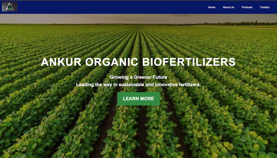 Cover image for Here is a website I