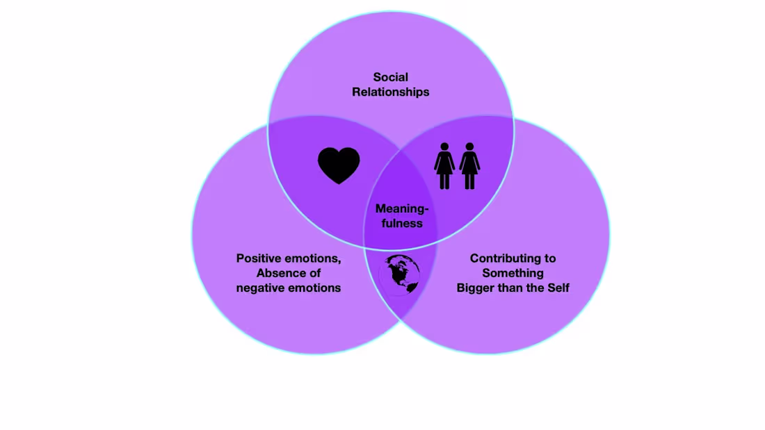 Cover image for Exploring Happiness and Meaningfulness