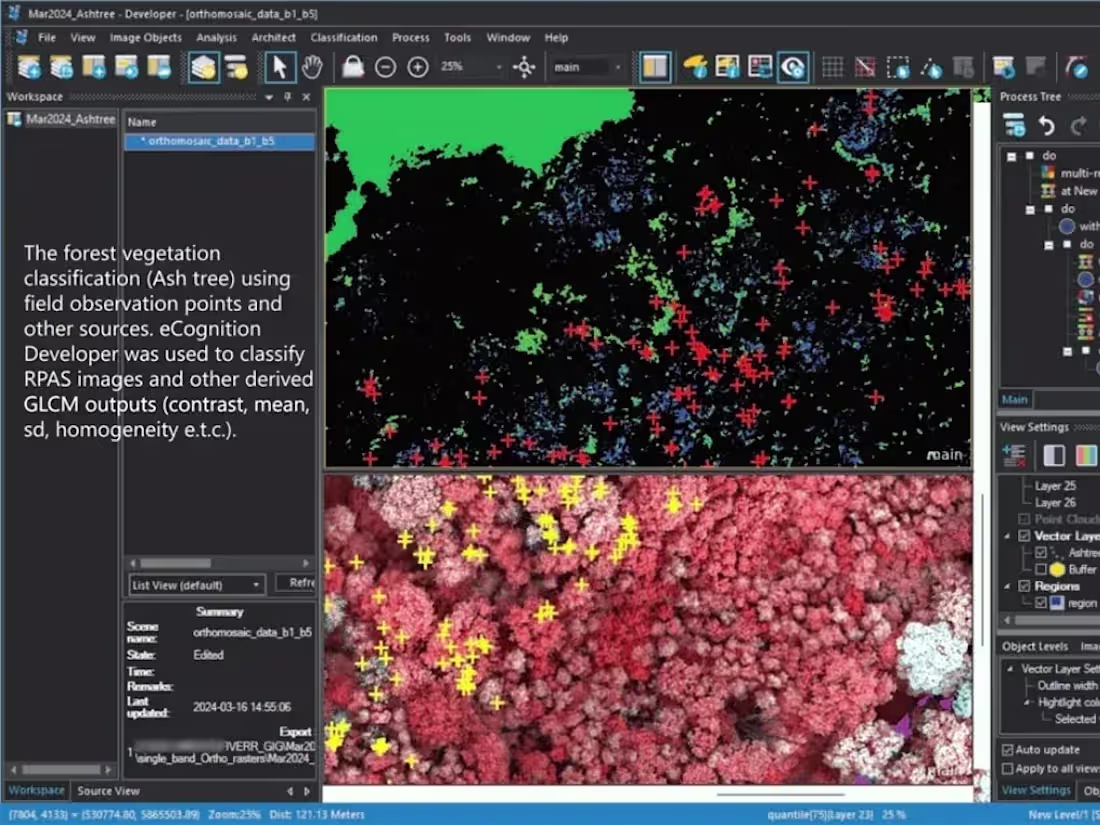 Cover image for Vegetation analysis with OBIA
