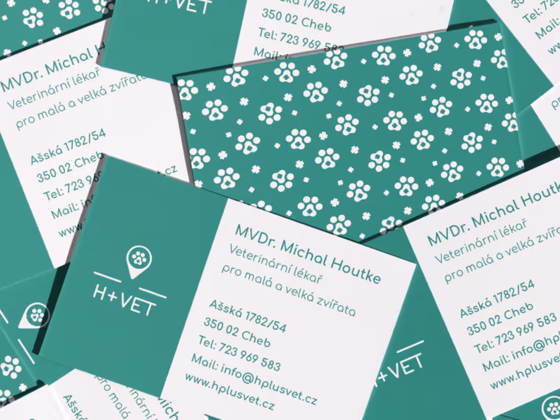 Cover image for H+VET Branding