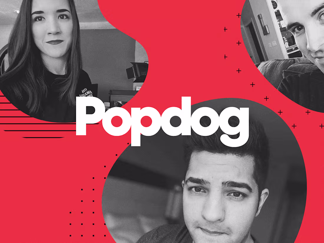 Cover image for Popdog