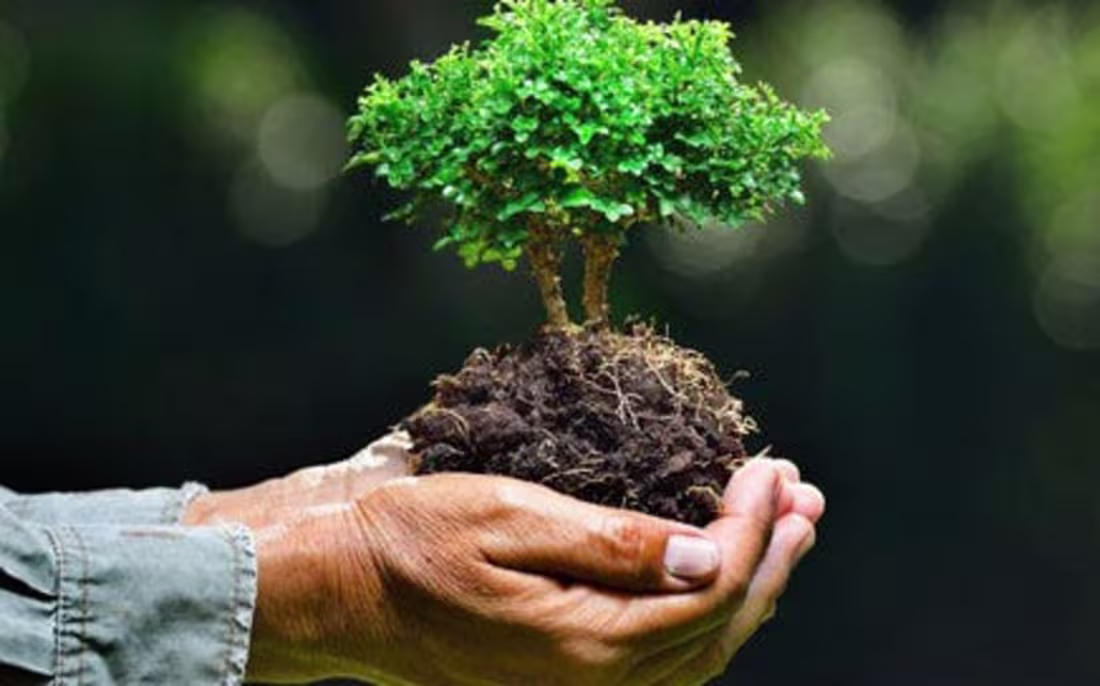 Cover image for Environmentalism as Resistance: Reclaiming Our Earth