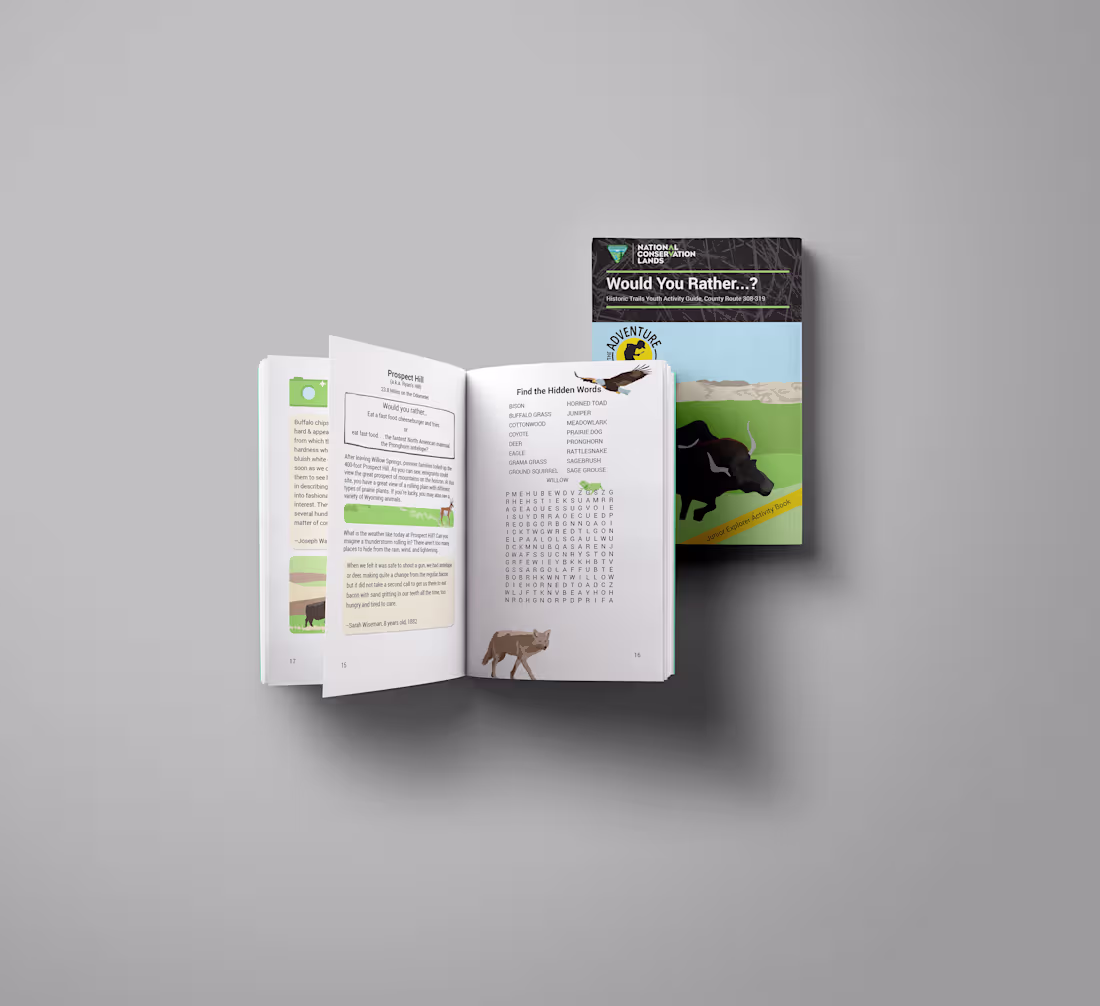 Cover image for US Bureau of Land Management — educational resource development
