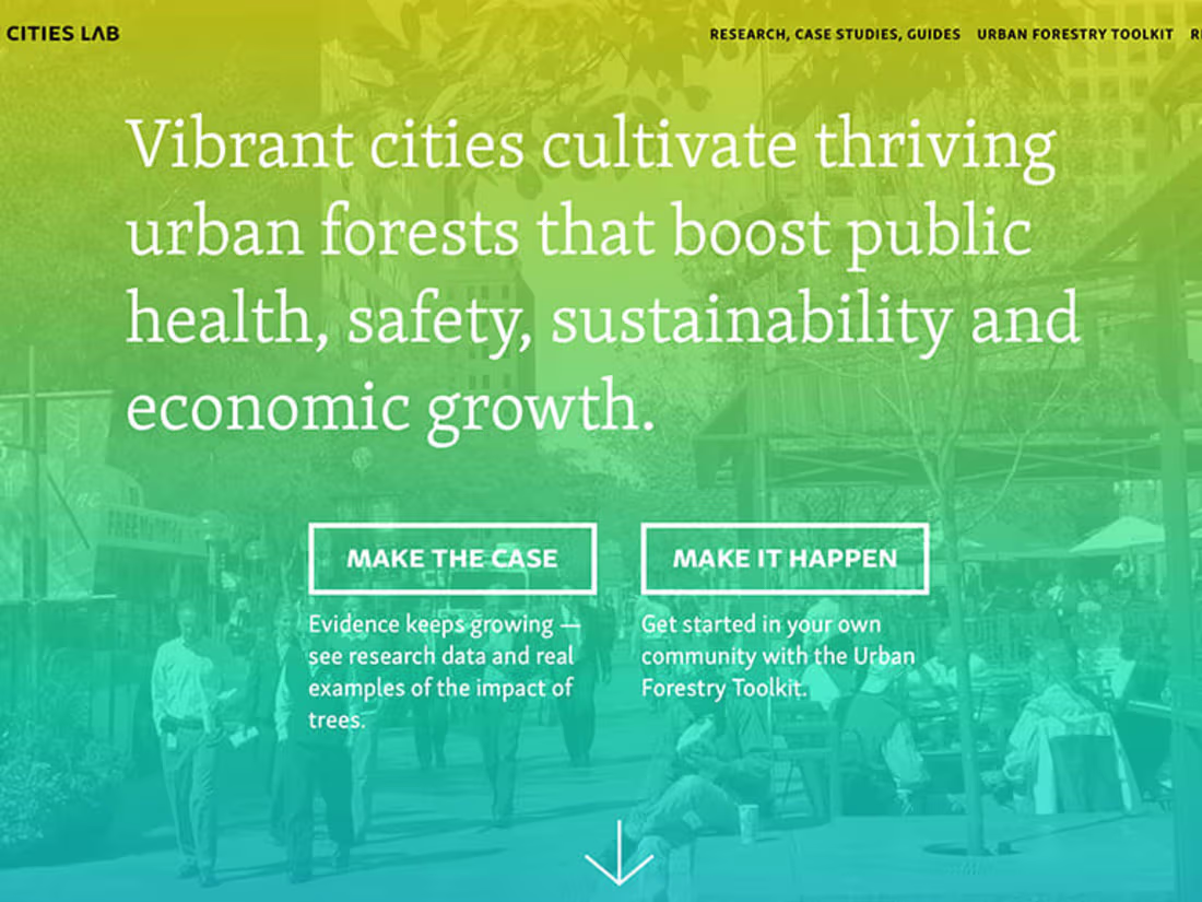 Cover image for Web Design & Development for an urban forestry advocacy hub