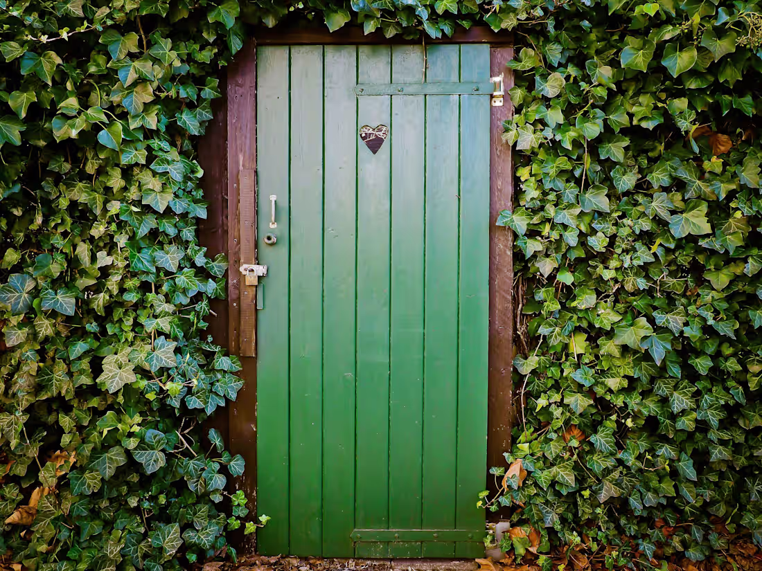 Cover image for The Wrong Doors 