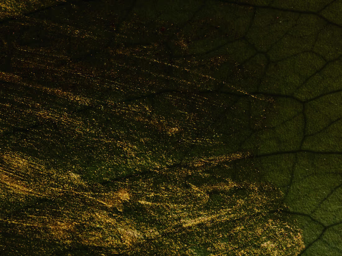 Cover image for Web Site Creation and Content 