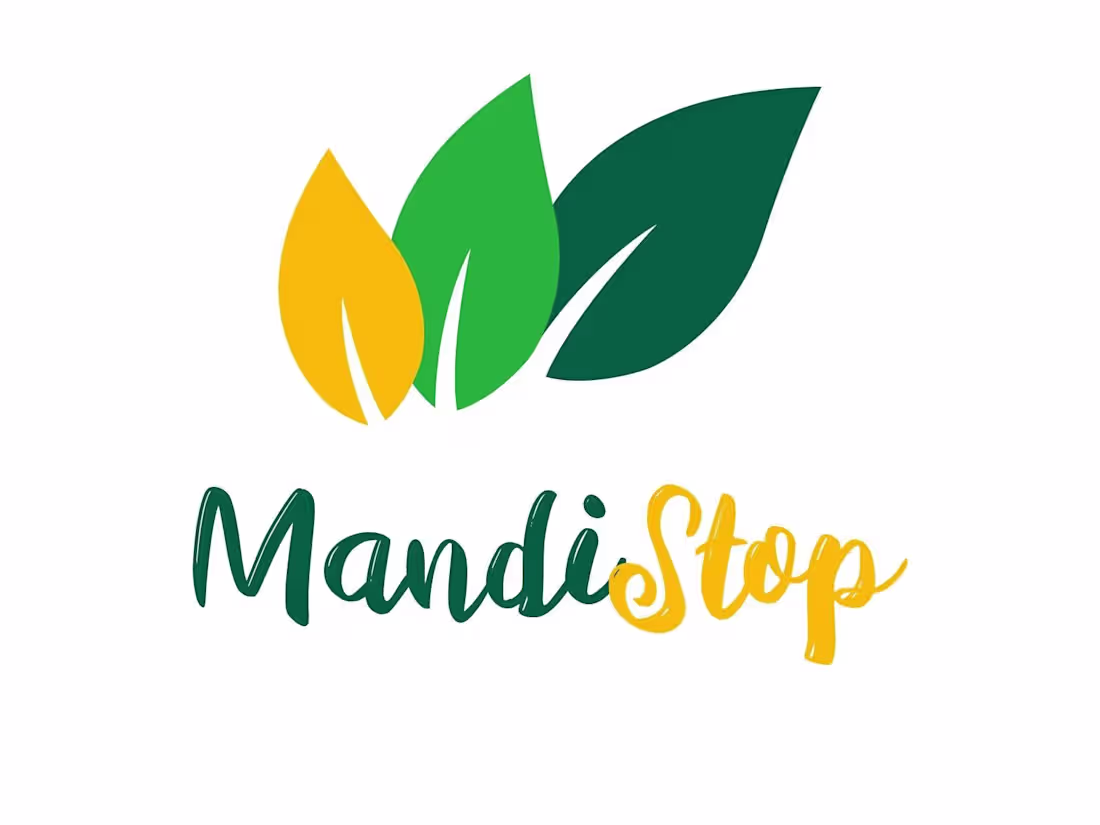 Cover image for Mandistop