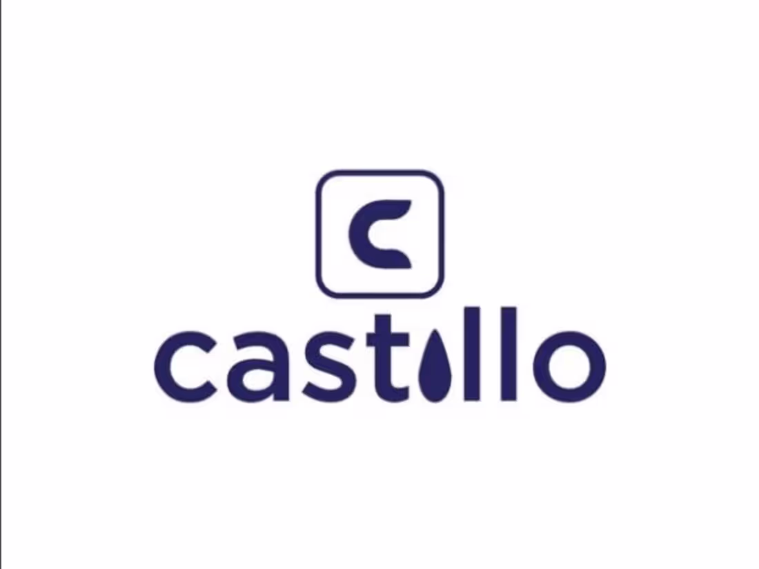 Cover image for Castillo India