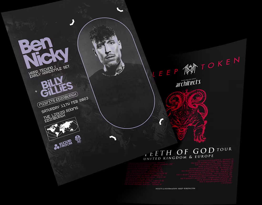 Cover image for Flyers