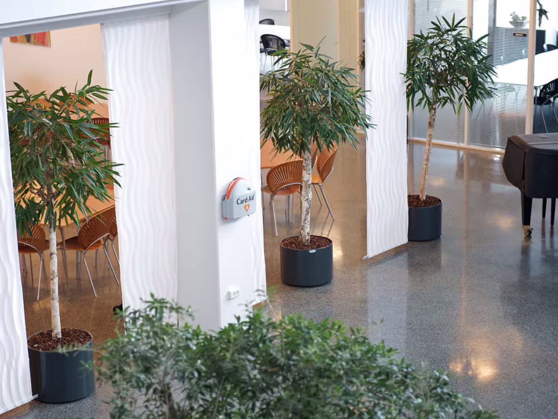 Cover image for Case: Cardia Nordic | IT Instituttet