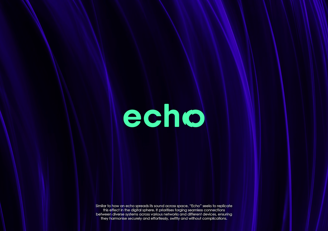Cover image for Echo is a smart payment
