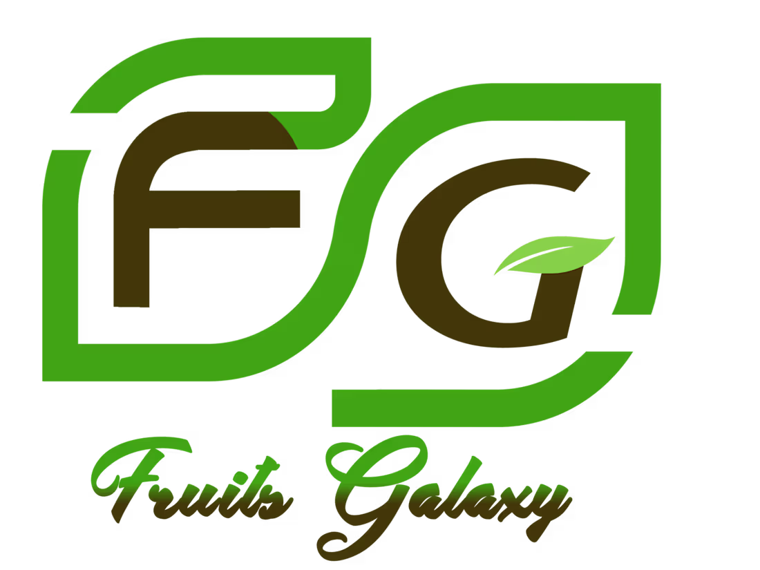 Cover image for Website Creation